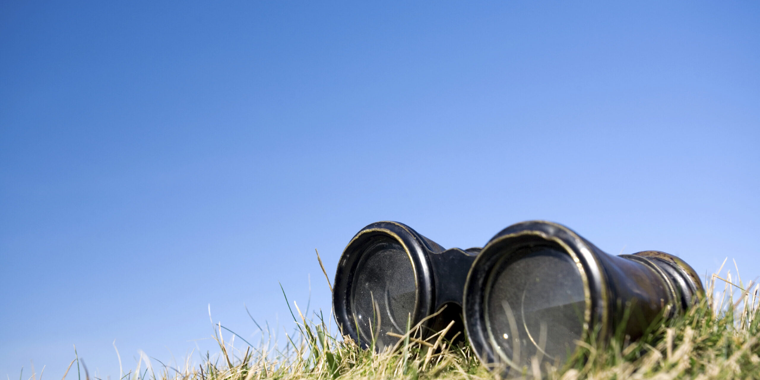 iStock_000002849552Large