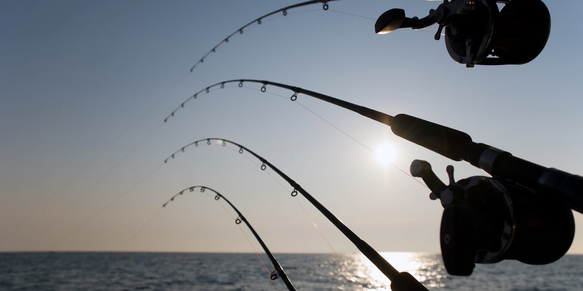 iStock_000005956267_Resized